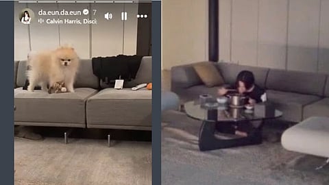 Song Da-eun's Story; Jimin inside his house